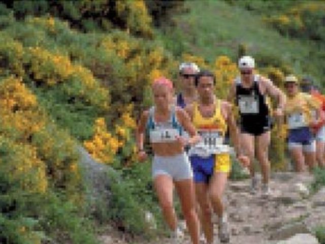 Concentraciones deportivas